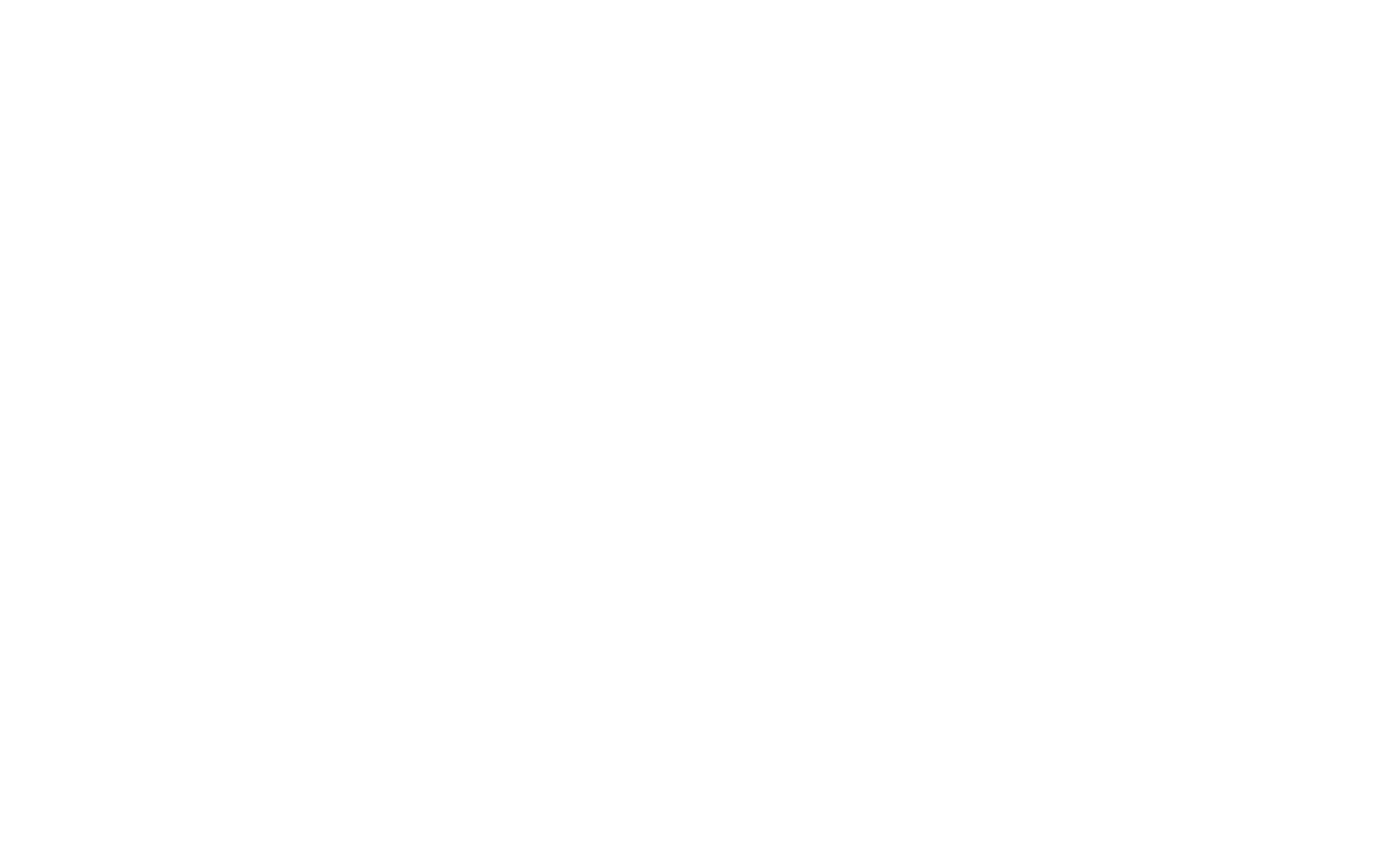 rm-global-logo-white